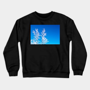 Crystal morning, Lapland Crewneck Sweatshirt